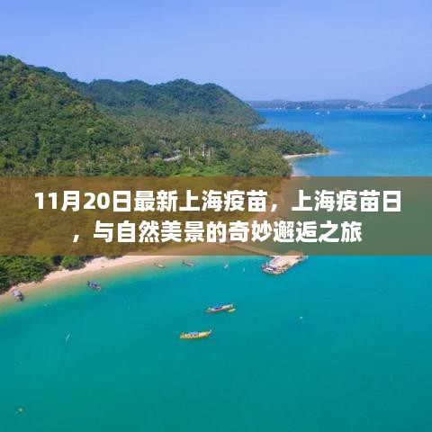 上海疫苗日，与自然美景的奇妙邂逅之旅