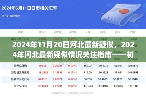 2024年河北最新疑似情况关注指南，初学者与进阶用户必备步骤