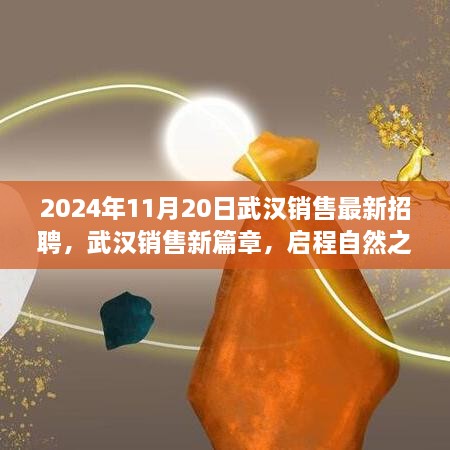 武汉销售新篇章启程，探寻自然美景与内心宁静的旅程（2024年招聘启事）