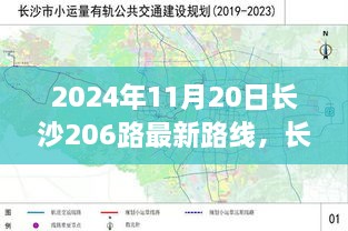 长沙公交206路最新路线变迁记，时代前行下的公交路线变迁与见证（2024年11月版）