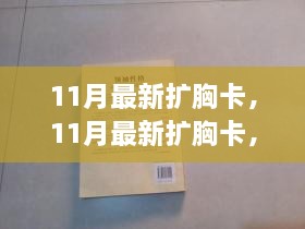 11月最新扩胸卡，塑造完美曲线，展现自信魅力