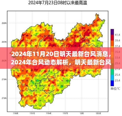 台风动态解析，最新消息引发思考