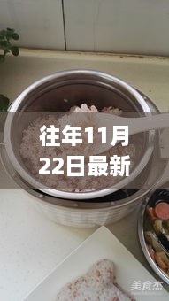 往年11月22日最新特色饭，最新特色饭制作指南，如何烹饪往年11月22日的特色美食