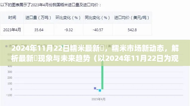 2024年11月22日观察，糯米市场最新动态与未来趋势解析