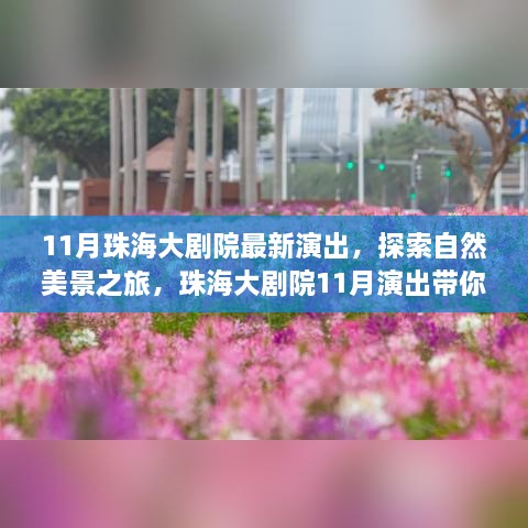 珠海大剧院11月演出，追寻自然美景与内心宁静的旅程