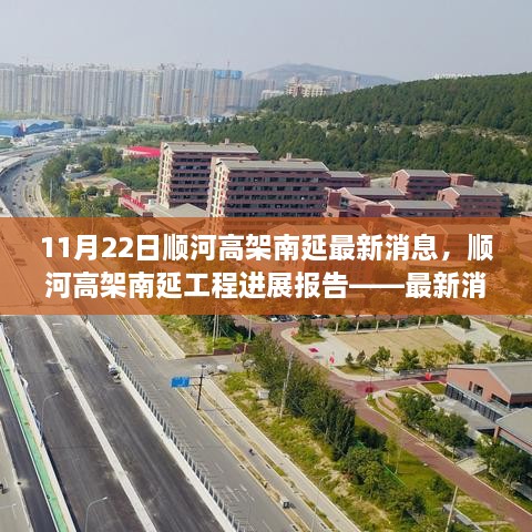 顺河高架南延工程最新进展报告，深度解析与最新消息（11月22日更新）