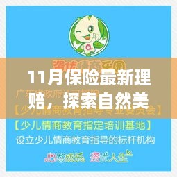 最新保险理赔报告发布，探索自然美景之旅启动心灵宁静之旅