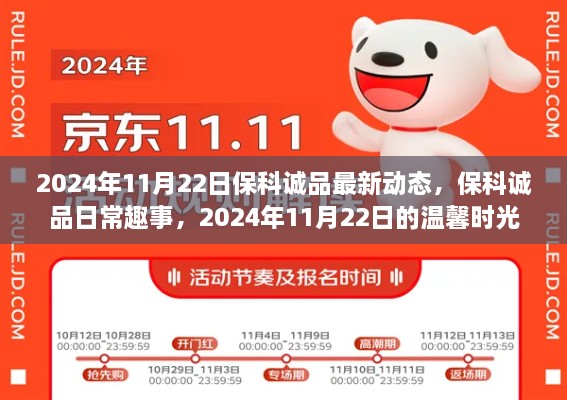 2024年11月22日保科诚品最新动态，保科诚品日常趣事，2024年11月22日的温馨时光