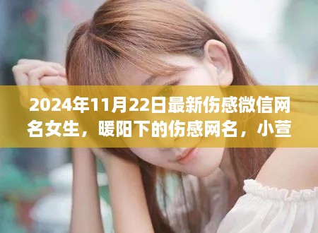 暖阳下的伤感微信网名女生，小萱的温馨日常（伤感网名精选）