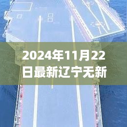 辽宁疫情防控取得显著成效，至2024年11月22日无新增确诊病例喜讯