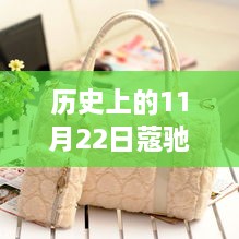 历史上的11月22日，蔻驰新款女包背后的故事与激励拥抱学习与变化的力量图片欣赏