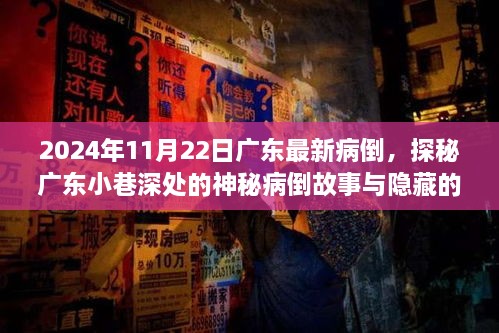 广东小巷深处的神秘病倒与美食秘境探秘（2024年11月22日最新）