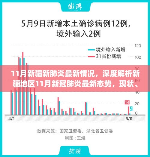 新疆地区11月新冠肺炎最新态势深度解析，现状、特性与竞品对比报告