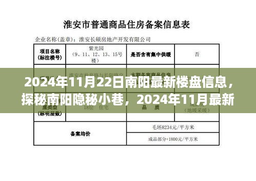 探秘南阳隐秘小巷，揭秘最新楼盘明珠——南阳楼盘信息精选（2024年11月）