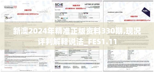 新澳2024年精准正版资料330期,现况评判解释说法_FES1.11