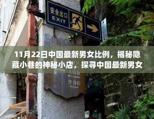 中国最新男女比例揭秘，小巷神秘小店背后的独特魅力探寻之旅