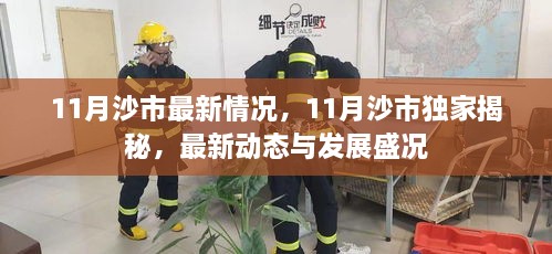 揭秘沙市11月最新动态与发展盛况，独家深度报道