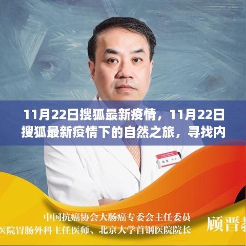 11月22日搜狐最新疫情下的自然之旅，探寻内心宁静与力量之源