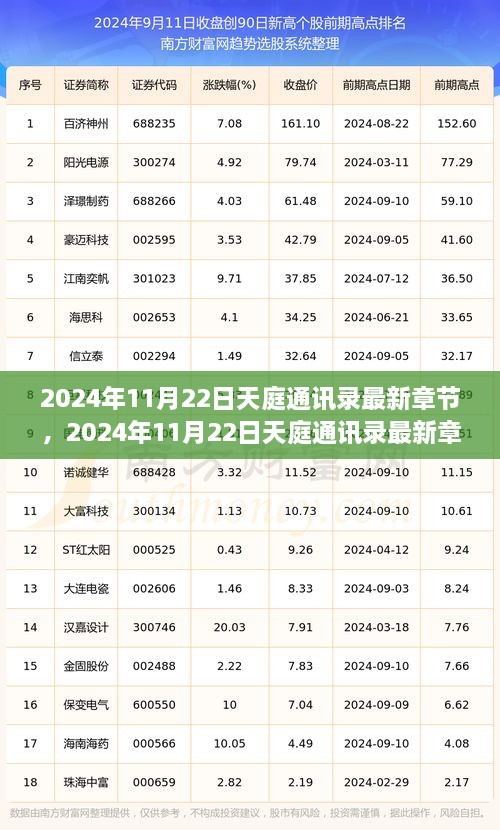 神秘世界沟通之旅揭秘，天庭通讯录最新章节（2024年11月22日）