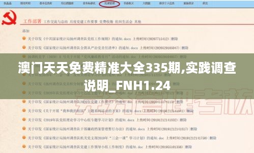 澳门天天免费精准大全335期,实践调查说明_FNH1.24