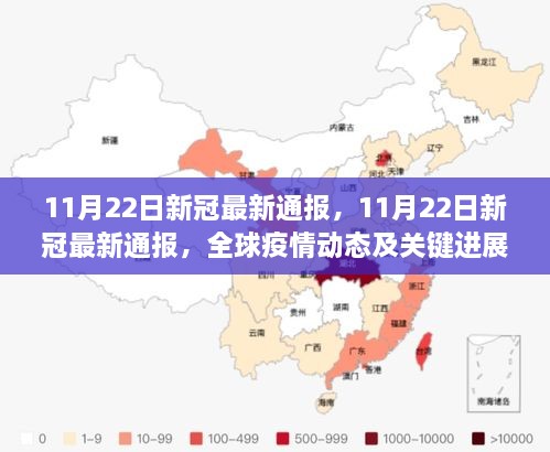 全球疫情动态更新，最新新冠进展与关键信息解析（11月22日版）