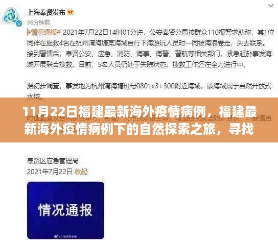 11月22日福建最新海外疫情病例，福建最新海外疫情病例下的自然探索之旅，寻找内心的宁静与平和