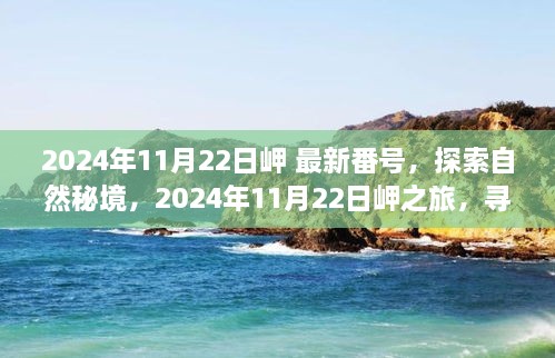 2024年11月22日岬 最新番号，探索自然秘境，2024年11月22日岬之旅，寻找内心的宁静与和谐之美