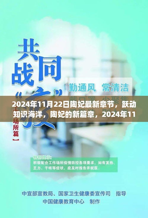 陶妃新篇章，跃动知识海洋，共同成长奇迹时刻（2024年11月22日最新章节）