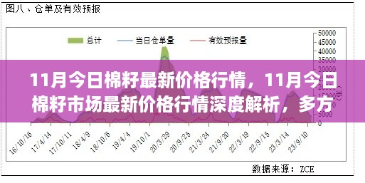 深度解析，11月棉籽市场最新价格行情及多方观点交织的思考