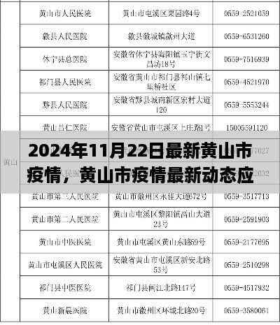 黄山市疫情最新动态应对指南，初学者与进阶用户必读（2024年11月版）