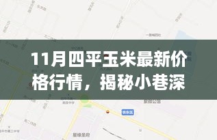 揭秘玉米宝藏与特色小店的魅力，11月四平玉米最新行情及小巷深处的独特风采