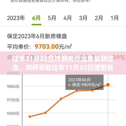 往年11月22日博野房价最新出售信息全解析，初学者与进阶用户指南