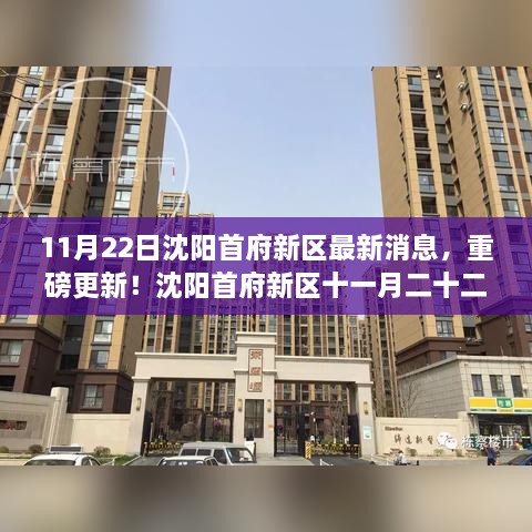 沈阳首府新区11月22日最新动态重磅更新