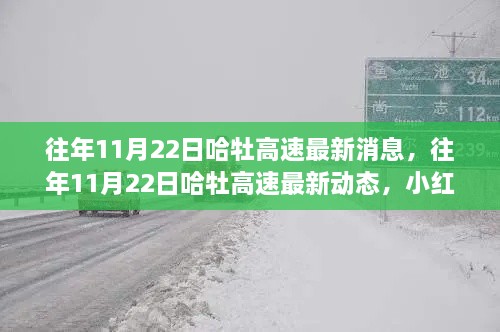 小红书带你关注，哈牡高速11月22日最新动态与进展速览