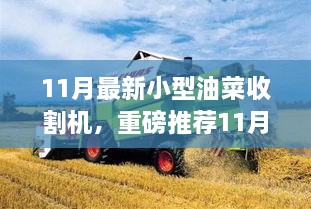 金秋丰收利器，最新小型油菜收割机高效便捷助你收获满满！