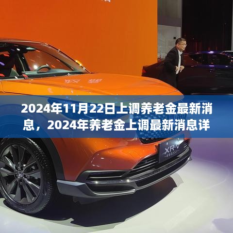 2024年养老金上调最新消息详解，准备与申请流程