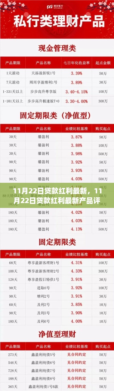 11月22日贷款红利最新动态，产品评测与介绍