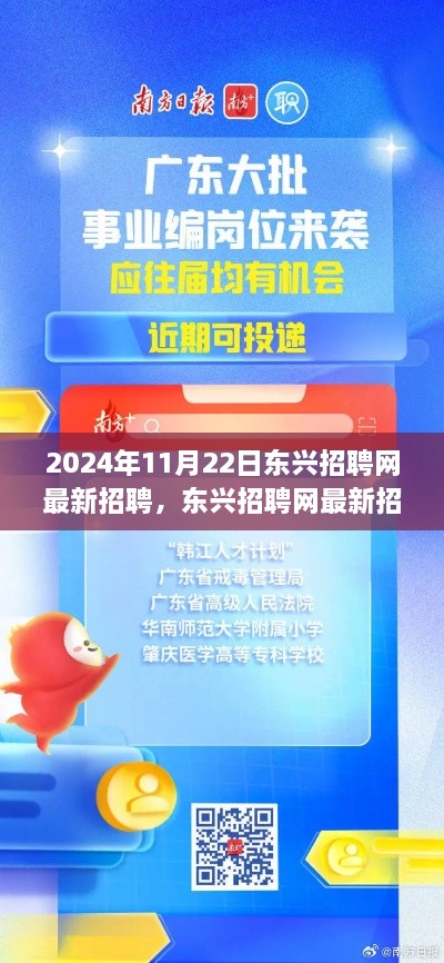 东兴招聘网最新招聘动态解析（2024年11月版）