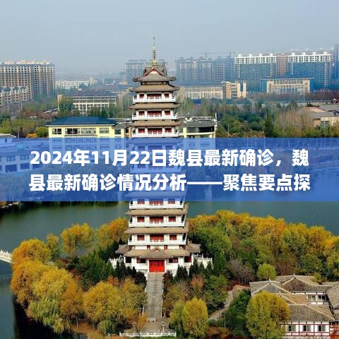 魏县最新确诊情况分析，聚焦要点探讨与科普解读（2024年11月22日）