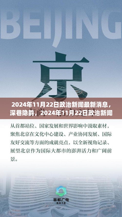 深巷隐韵，2024年11月22日政治新闻下的独特小巷风情小店探秘