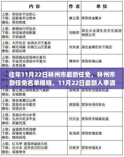 林州市最新人事任免名单揭晓，11月22日人事调整动态更新