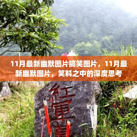 笑中带思，11月最新幽默图片与搞笑图片精选