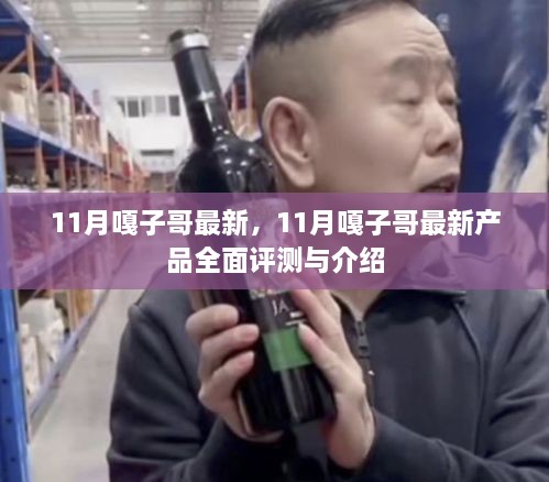 11月嘎子哥最新产品全面介绍与评测概览