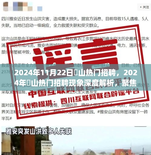 聚焦观点之争，深度解析奓山热门招聘现象，2024年最新招聘动态