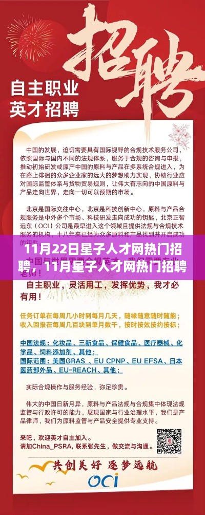 星子人才网热门招聘深度测评与介绍，寻找最佳职业机会