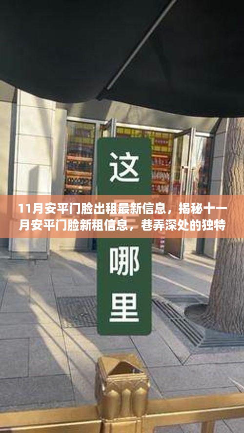 揭秘十一月安平门脸出租最新信息及巷弄深处的独特小店探秘之旅