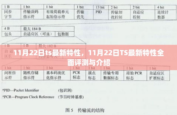 11月22日TS最新特性全面评测与介绍