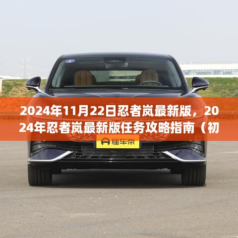 忍者岚最新版任务攻略指南（初学者与进阶用户适用）——2024年11月22日更新版