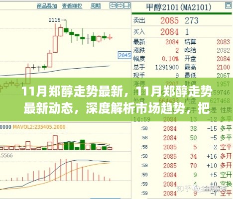 深度解析，郑醇市场走势最新动态与把握投资机会