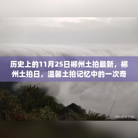 郴州土拍日，历史视角下的奇遇与最新进展